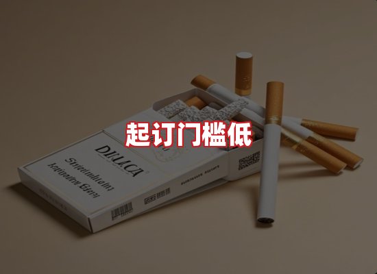 专业团队